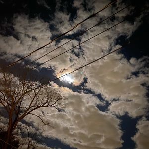 Meet your Posher, Jake